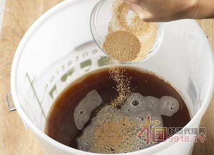 啤酒酵母 被低估的營(yíng)養(yǎng)寶庫(kù)，不止于緩解口腔潰瘍