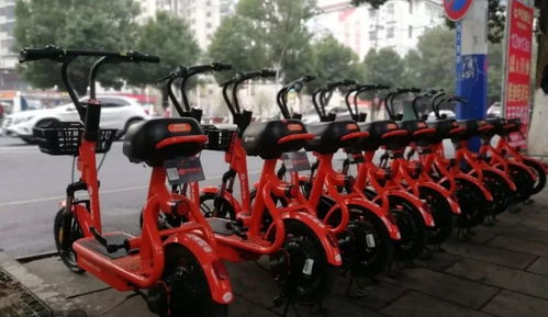 喜大普奔！共享電動單車正式登陸都昌，綠色出行再添新選擇